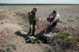 Владимир Берестовой